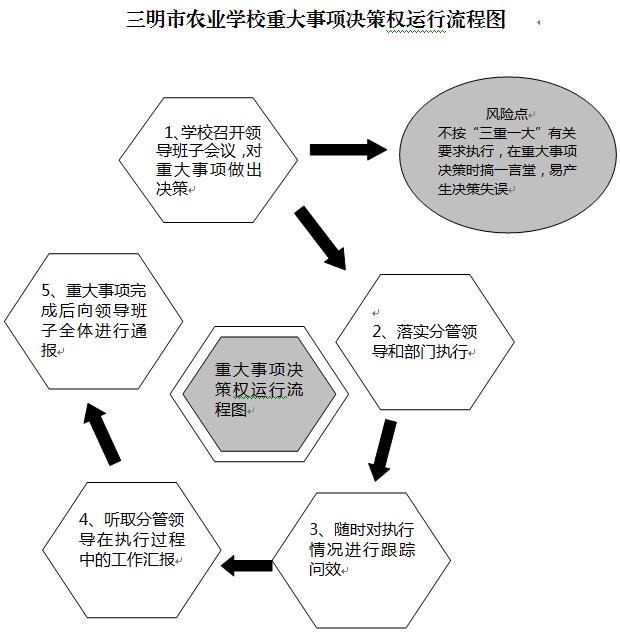 ag真人重大事项决策权运行流程图.JPG